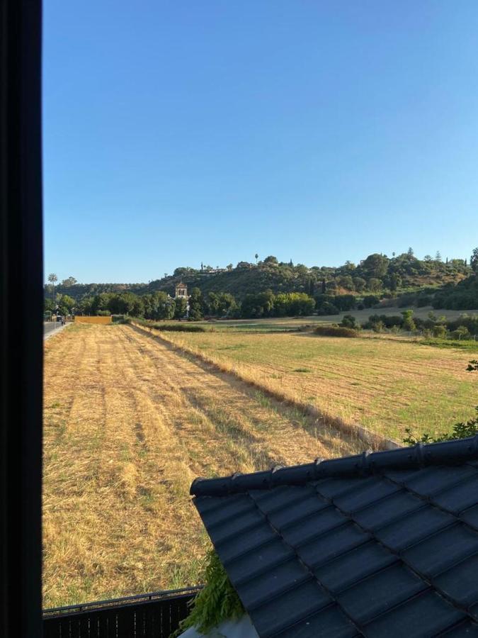 Paz Y Tranquilidad, A Un Paso De Sevilla San Juan de Aznalfarache Esterno foto